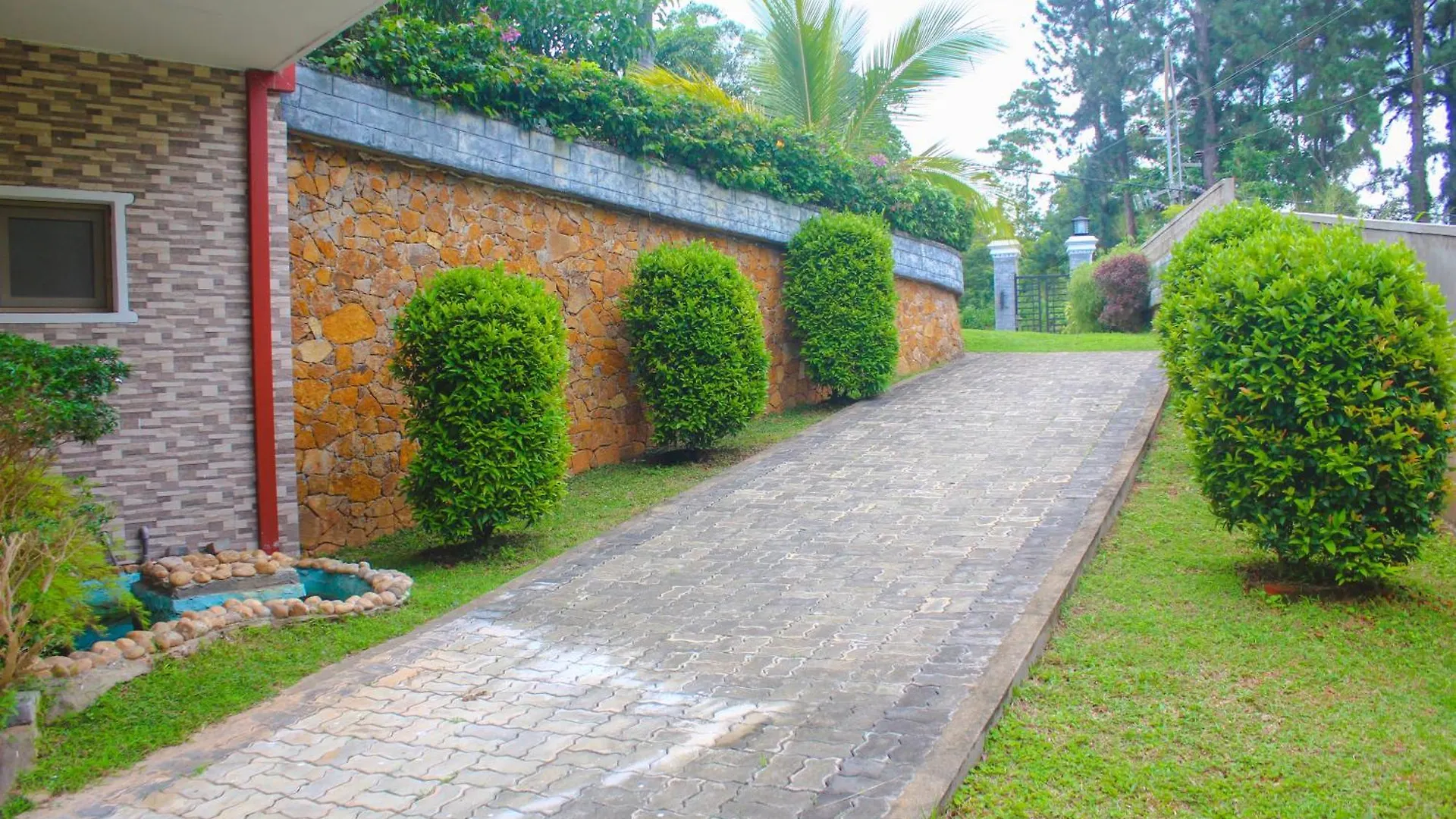 Camellia Rise Bed & Breakfast Kandy