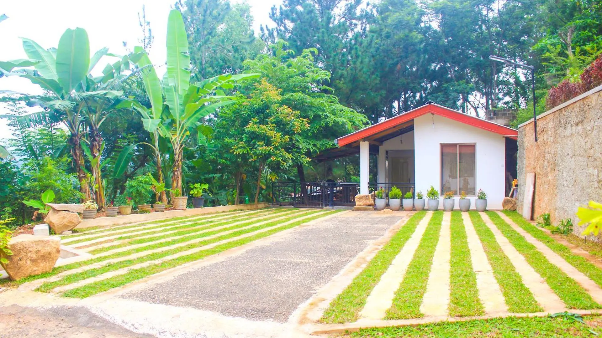 Camellia Rise Bed & Breakfast Kandy 0*,