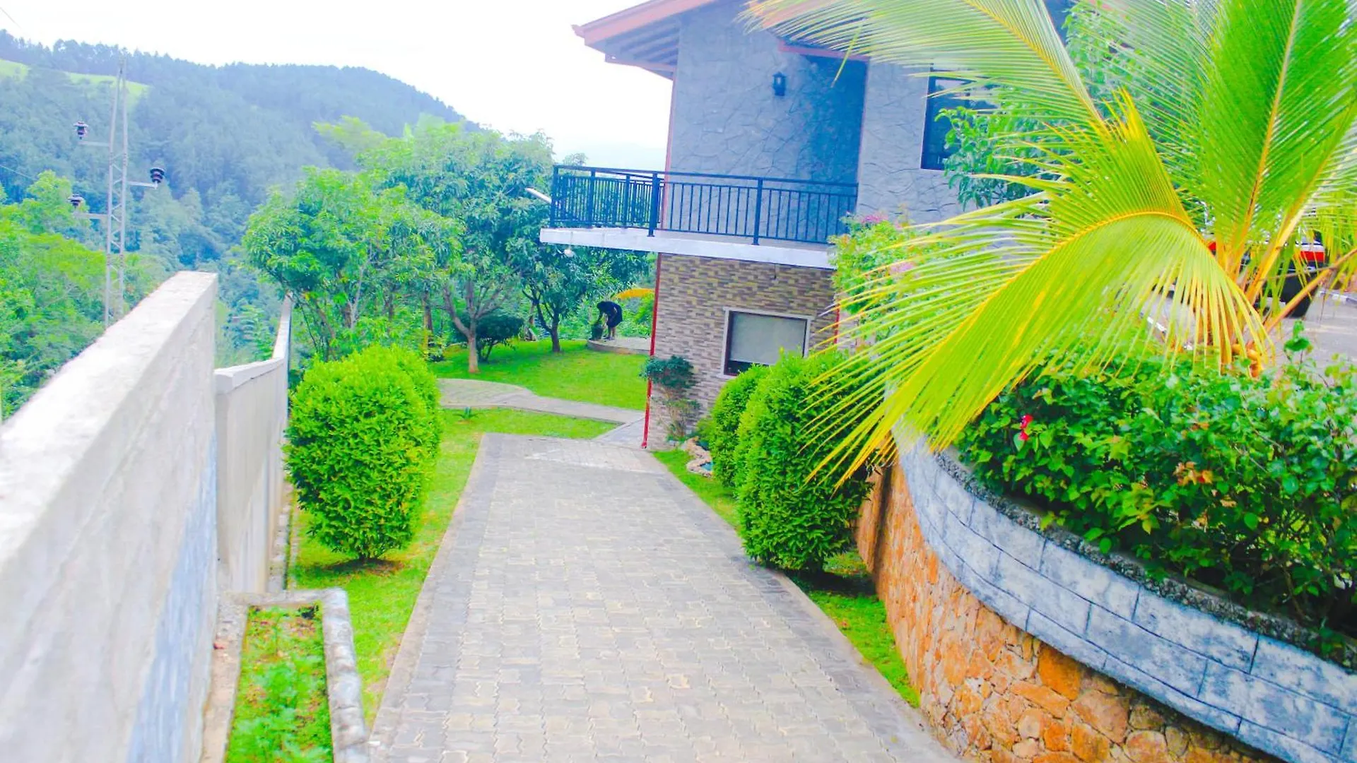 Bed and Breakfast Camellia Rise Kandy Bed & Breakfast